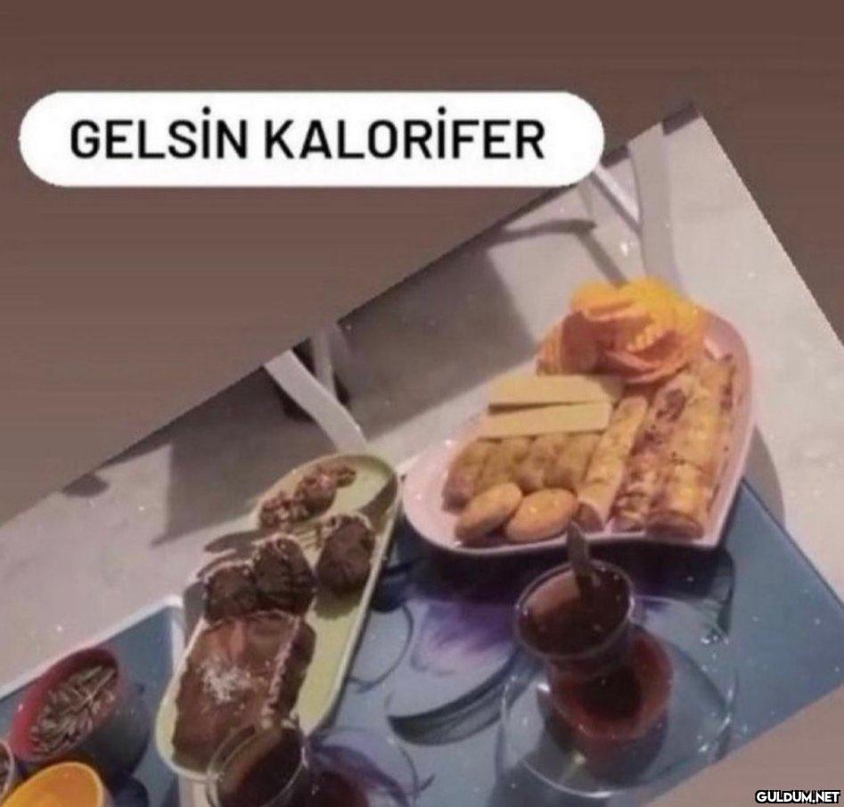 GELSİN KALORİFER   Kaynak