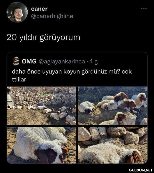 caner @canerhighline 20...
