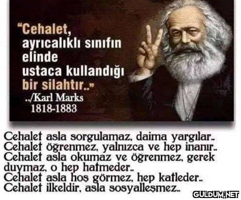 "Cehalet, ayrıcalıklı...