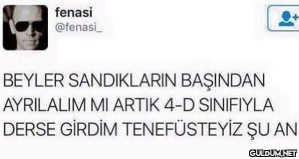 fenasi @fenasi_ BEYLER...