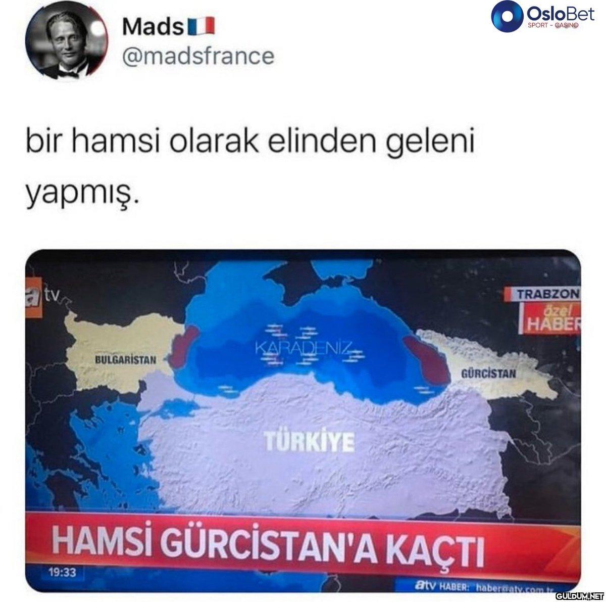 bir hamsi olarak elinden...