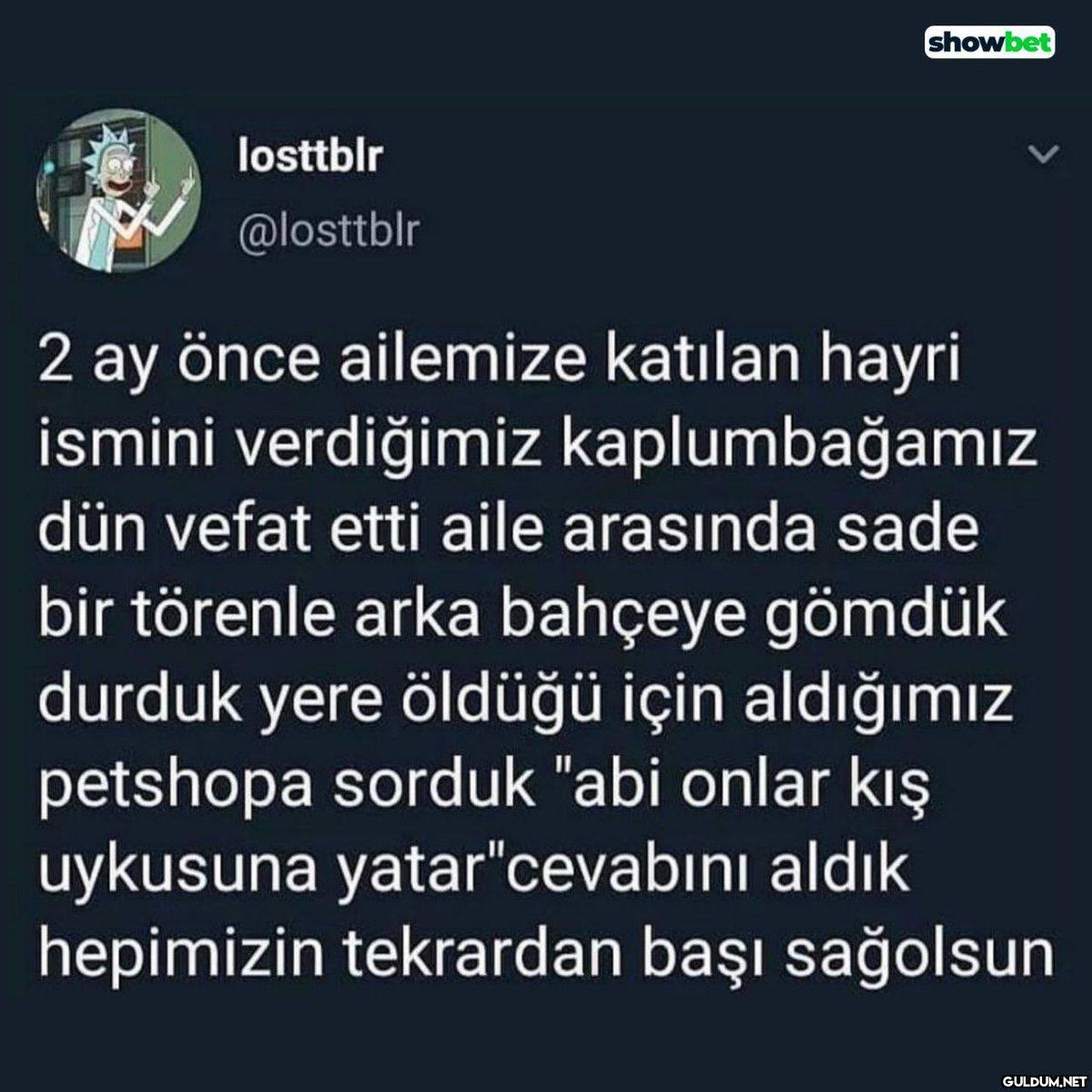 losttblr @losttblr showbet...