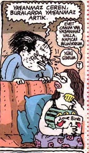 Kader Oylaması #Secim2023...