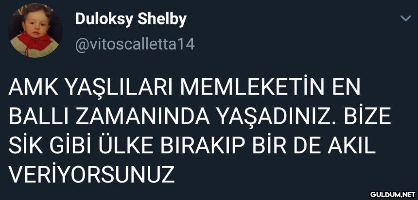 Duloksy Shelby...