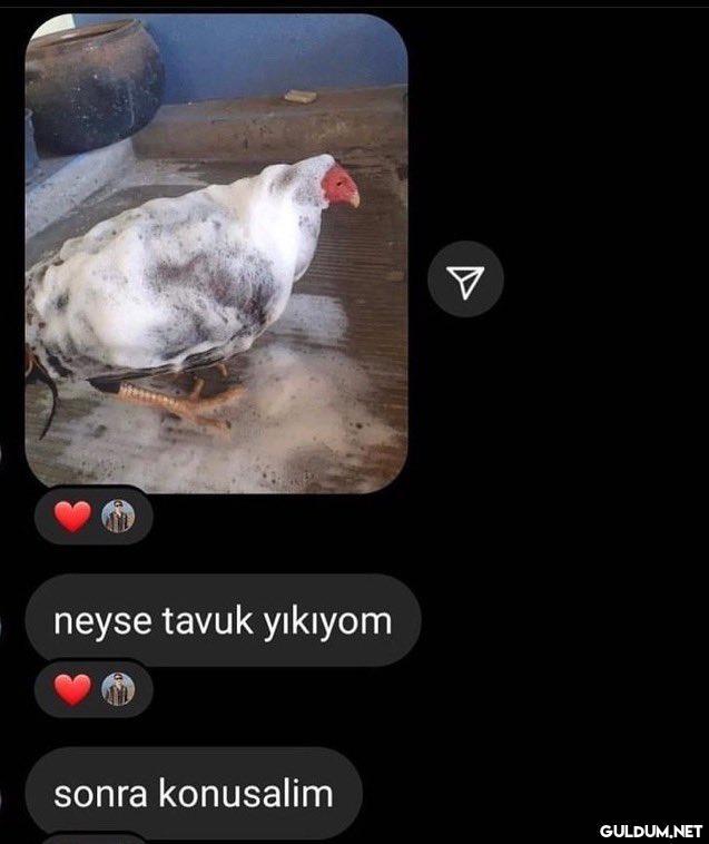 neyse tavuk yıkıyom sonra...