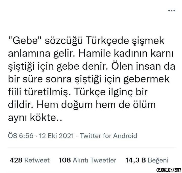 "Gebe" sözcüğü Türkçede...