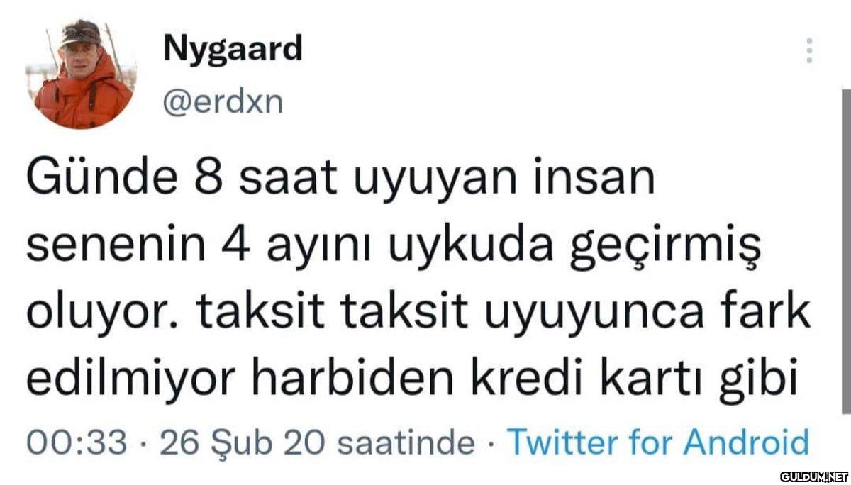 Nygaard @erdxn Günde 8...