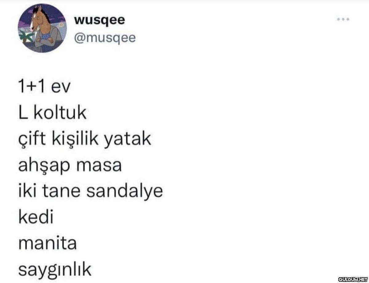 wusqee @musqee 1+1 ev L...