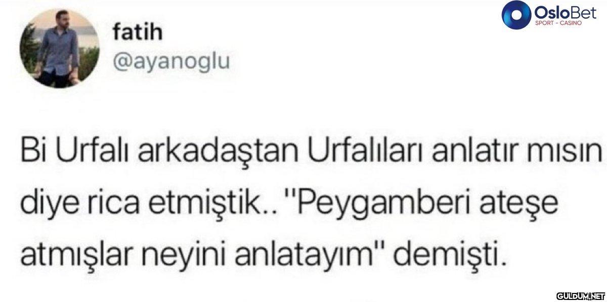 fatih @ayanoglu OsloBet...