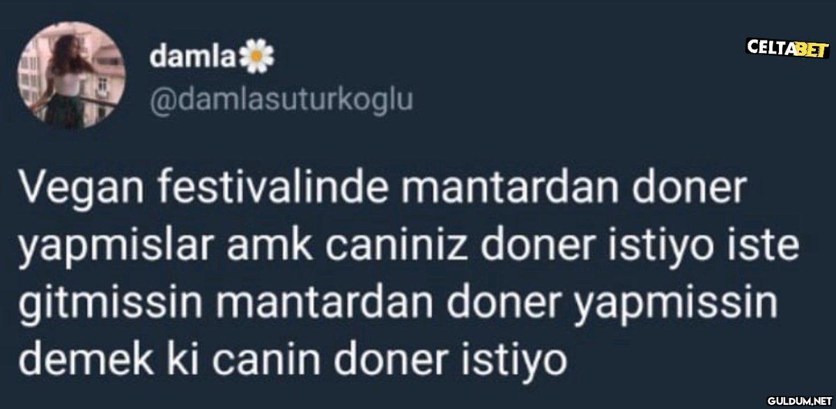 damla CELTABET...