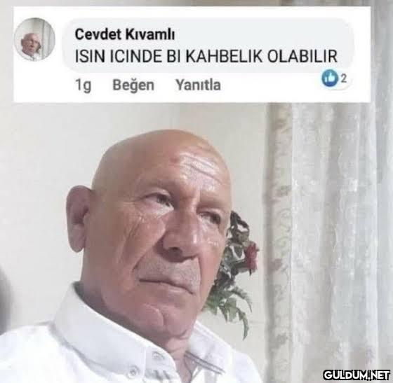 Tutanaklar ile YSK...