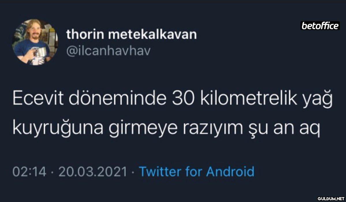 thorin metekalkavan...