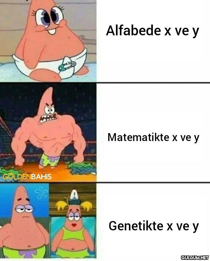 GOLDENBAHIS * Alfabede x...