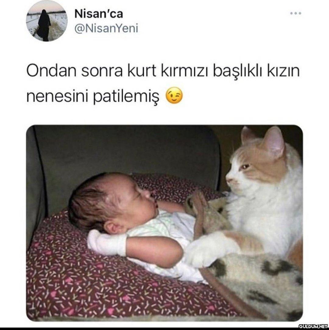 Nisan'ca @NisanYeni Ondan...