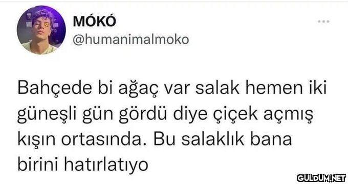 https://t.co/bR8NVNXoxF  ...