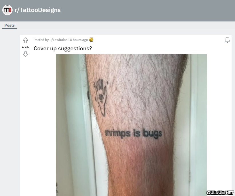 MTD r/Tattoo Designs Posts...