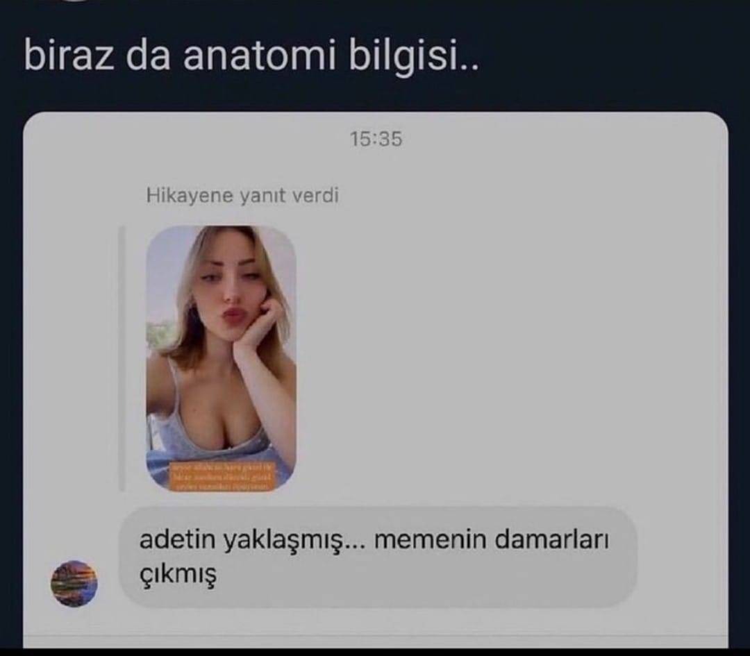 biraz da anatomi bilgisi.....