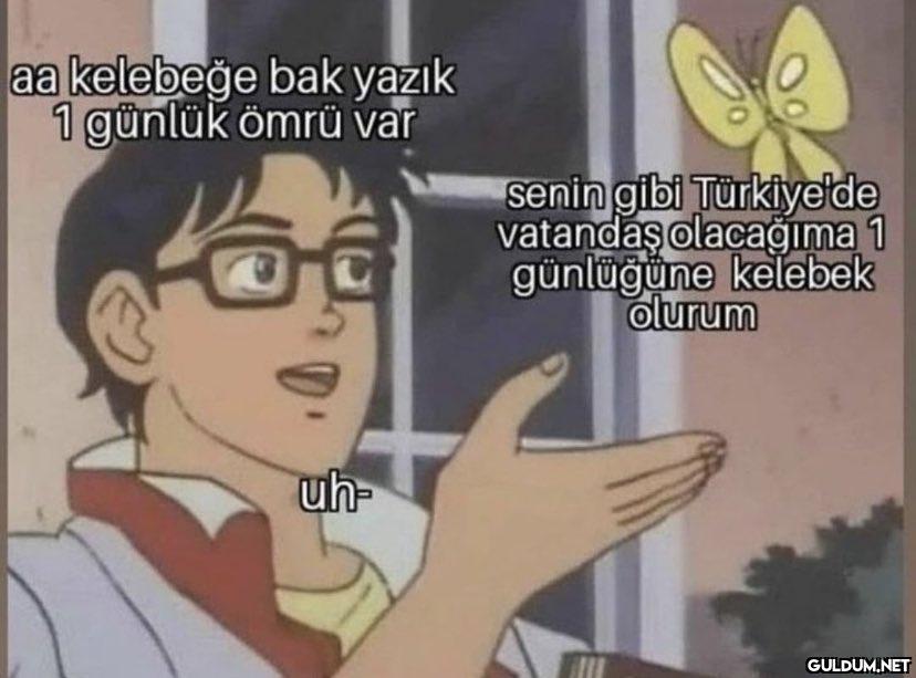 aa kelebeğe bak yazık 1...