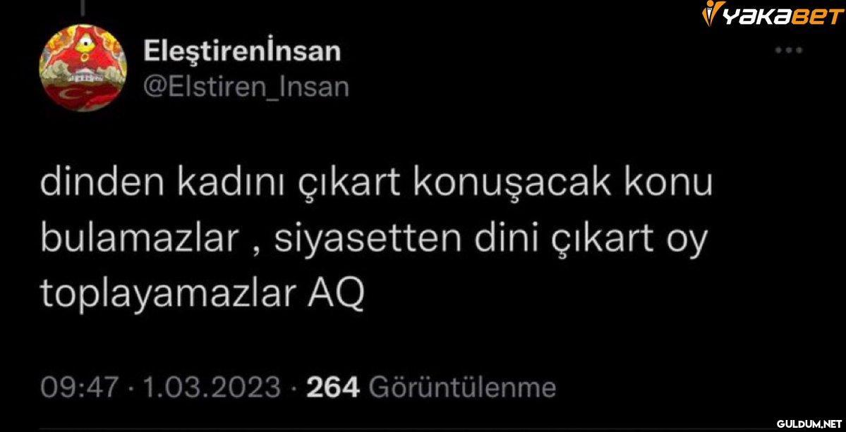 Eleştirenİnsan...