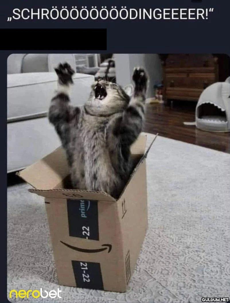 „SCHRÖÖÖÖÖÖÖÖDINGEEEER!"...