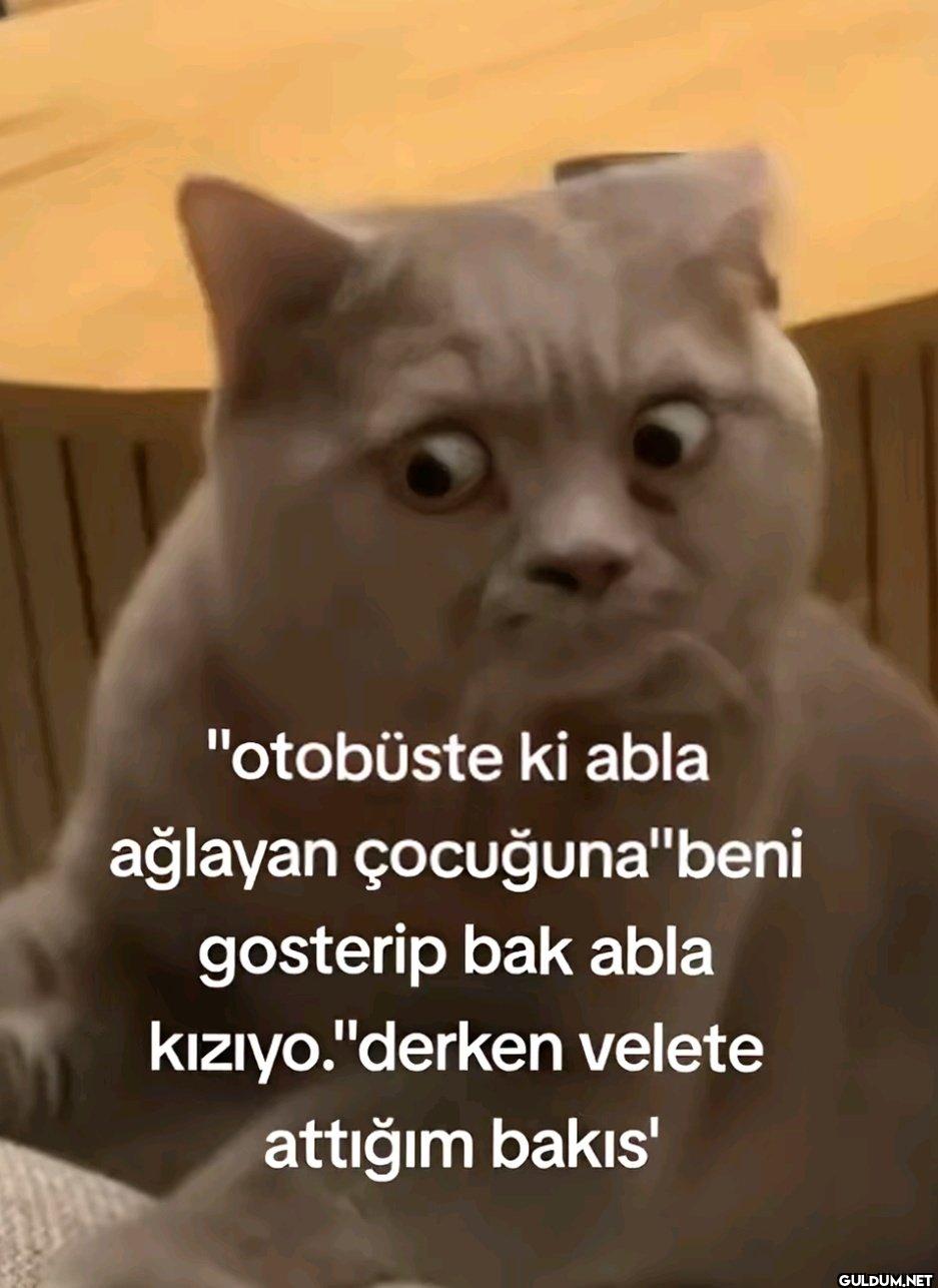 "otobüste ki abla ağlayan...