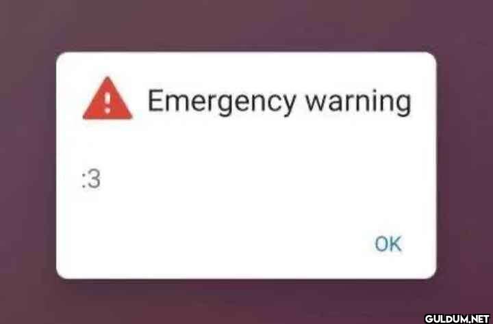 Emergency warning 3 OK