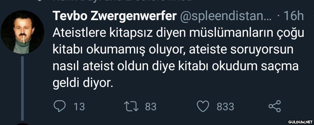 Tevbo Zwergenwerfer...