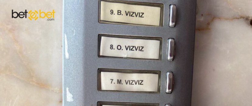 Apartman değil arı kovanı...
