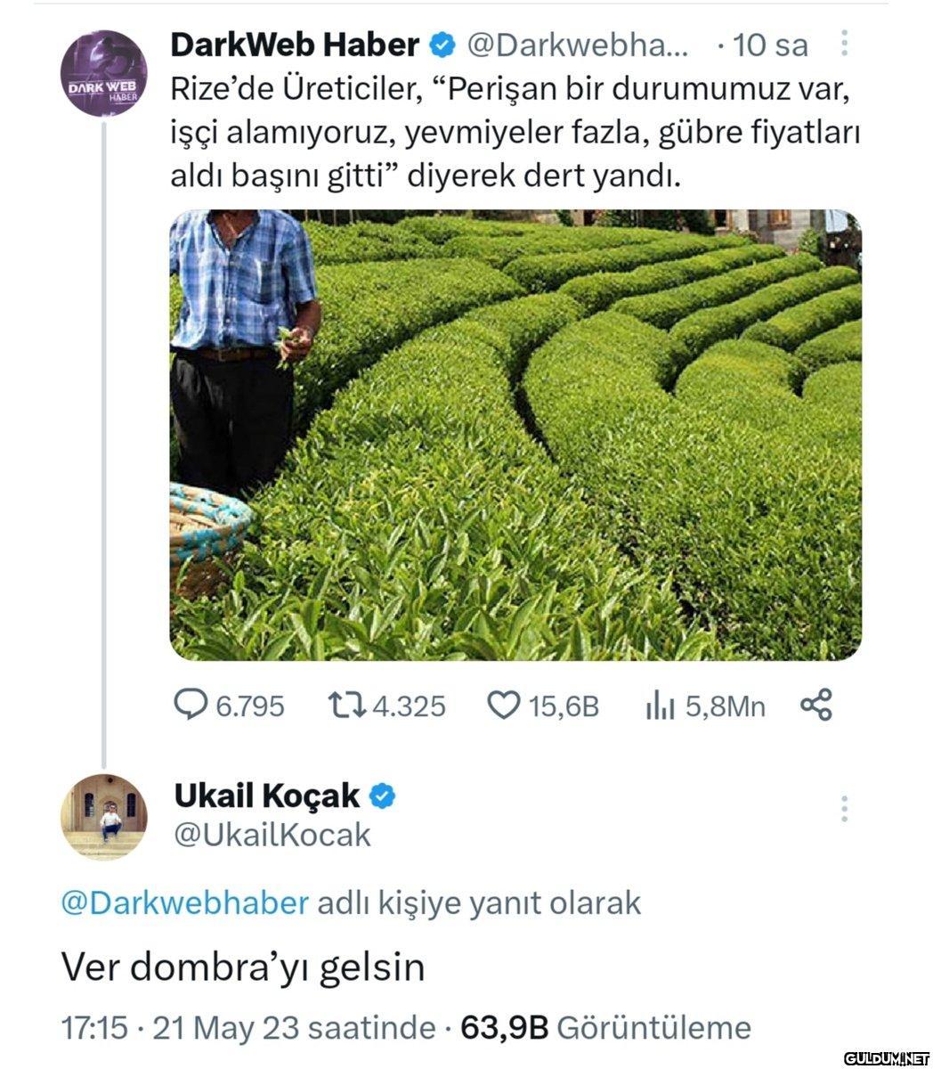 DARK WEB HABER DarkWeb...