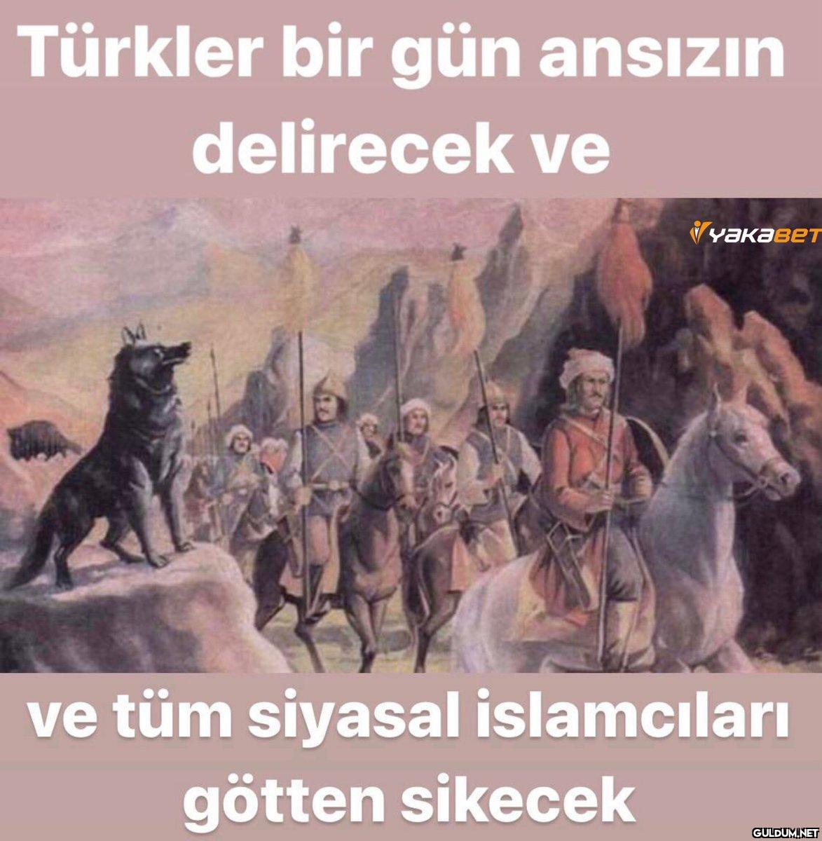 Türkler bir gün ansızın...