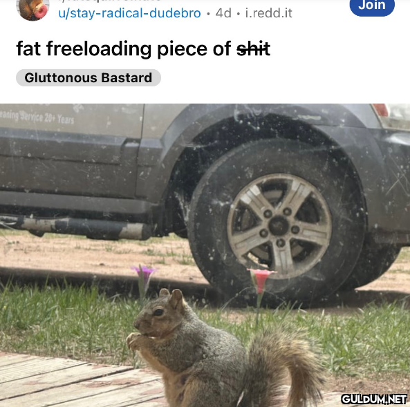 u/circuitboardheart 21h...