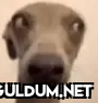 u/circuitboardheart 21h...
