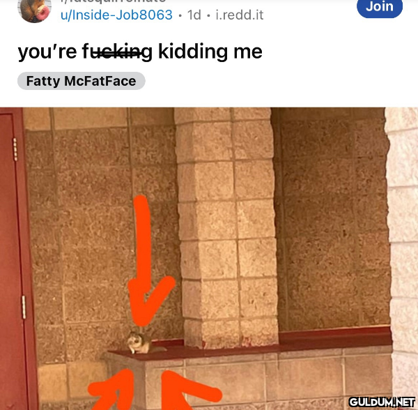why is there a subreddit...
