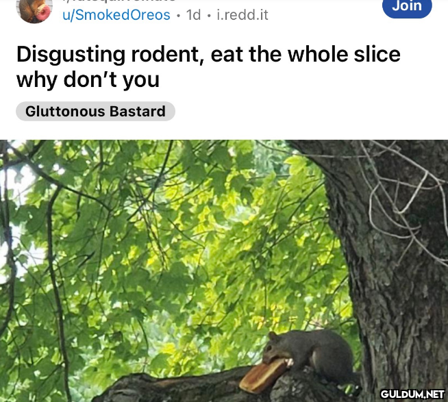 why is there a subreddit...