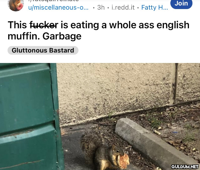 why is there a subreddit...