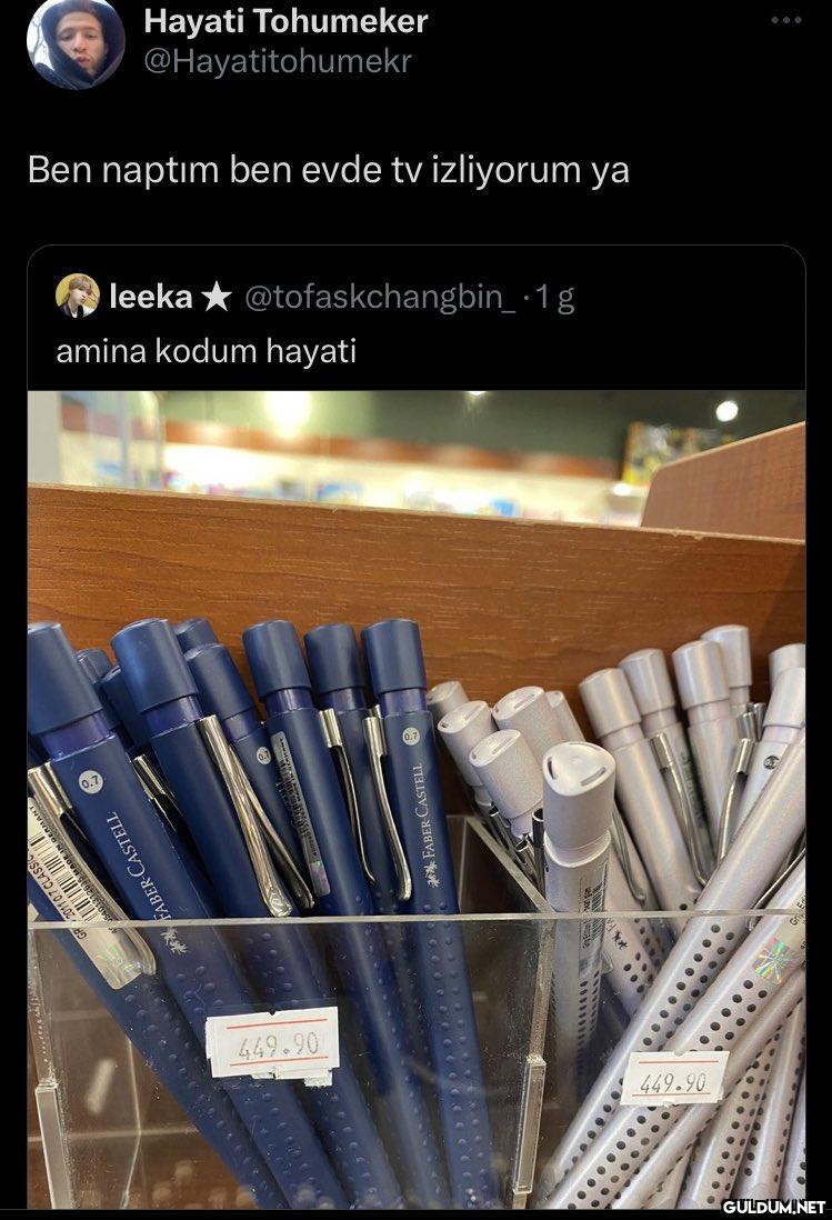 Hayati Tohumeker...