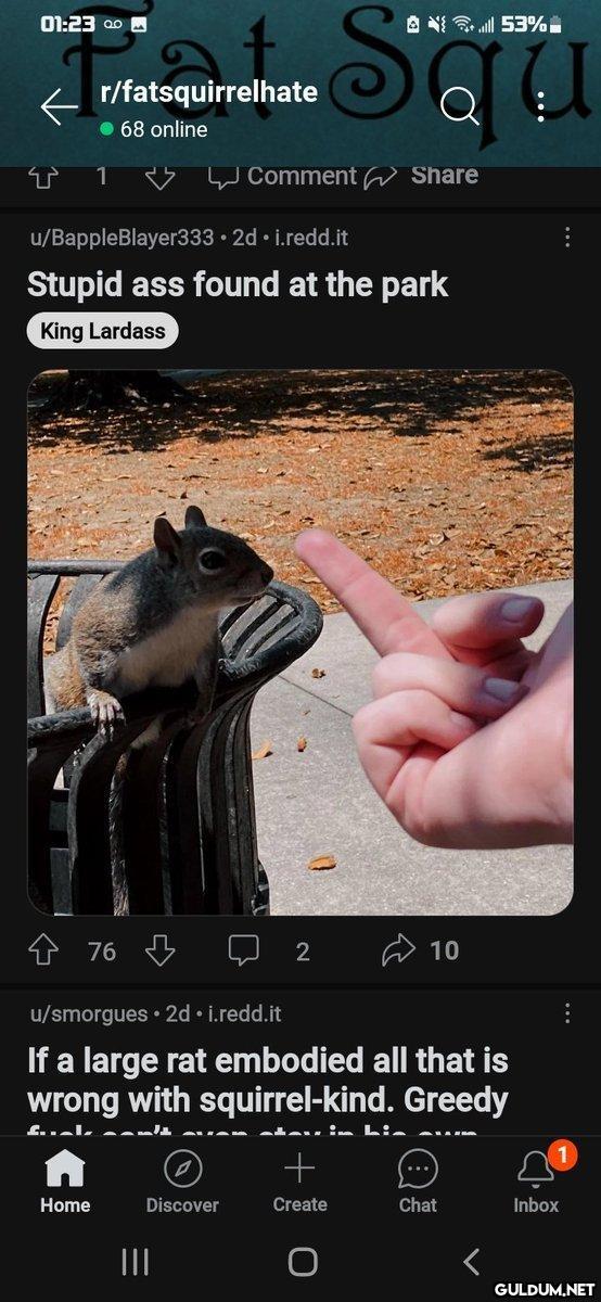 01:23 00 r/fatsquirrelhate...