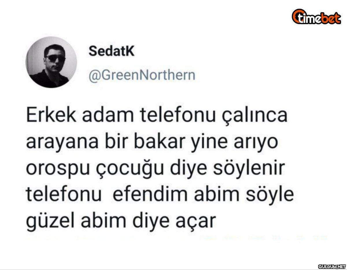 Sedatk @GreenNorthern...