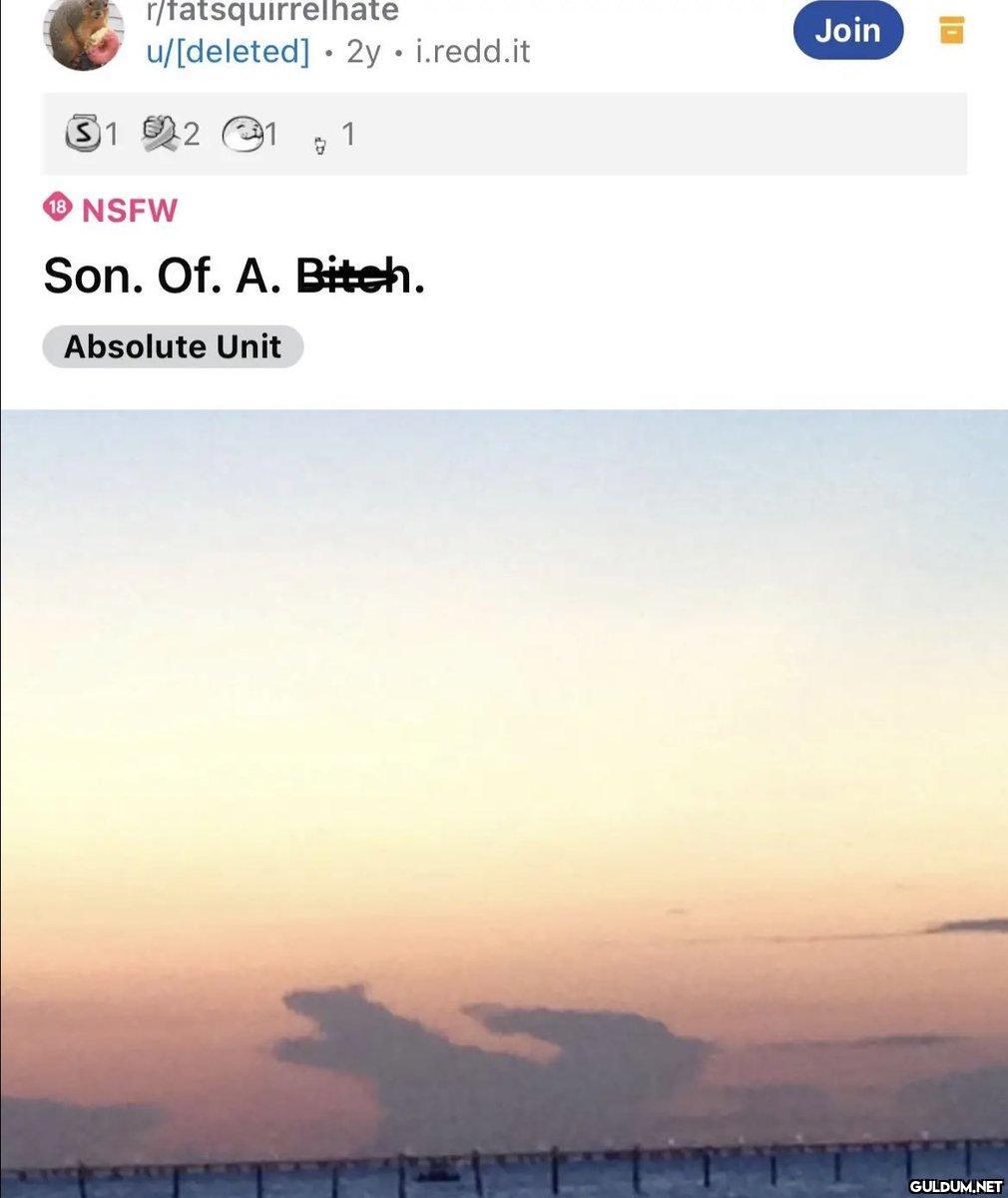 r/fatsquirrelhate...