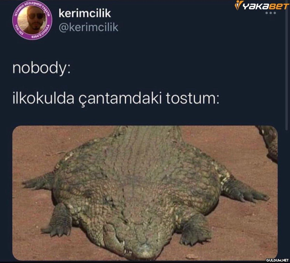 TCK-103 SOZLESMES MANI...