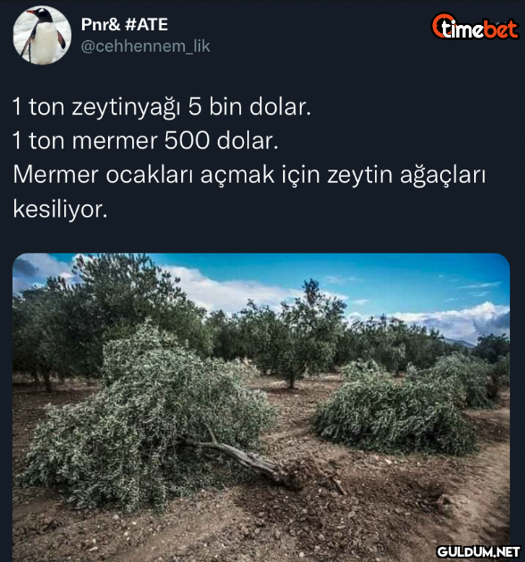 Pnr& #ATE @cehhennem_lik 1...