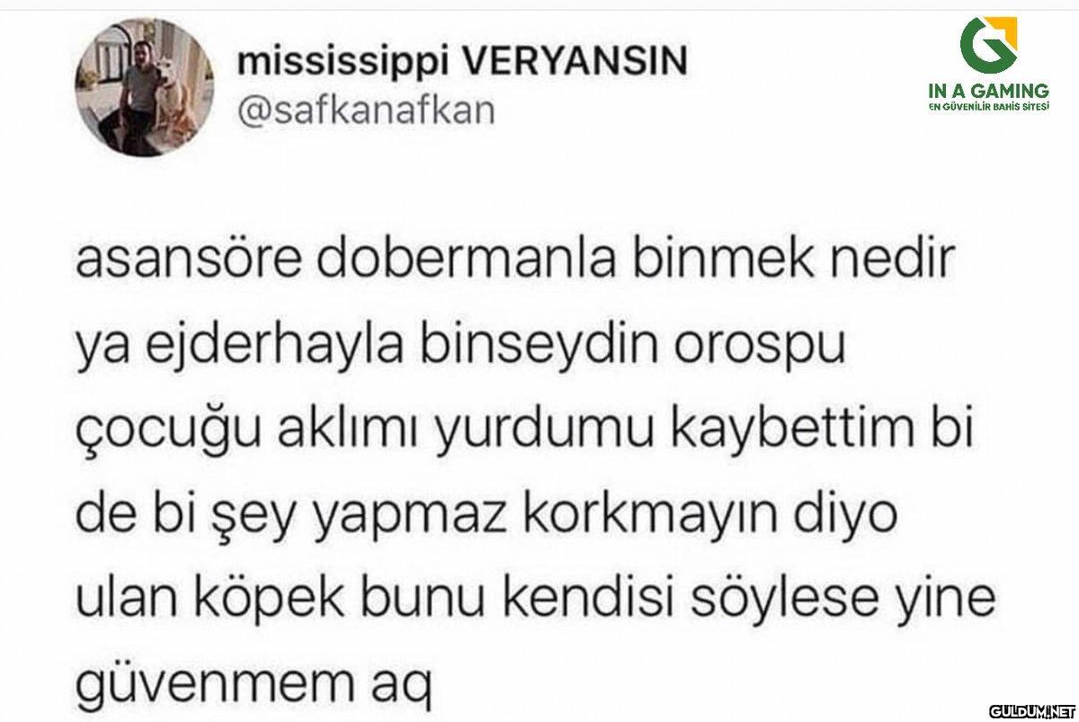 mississippi VERYANSIN...