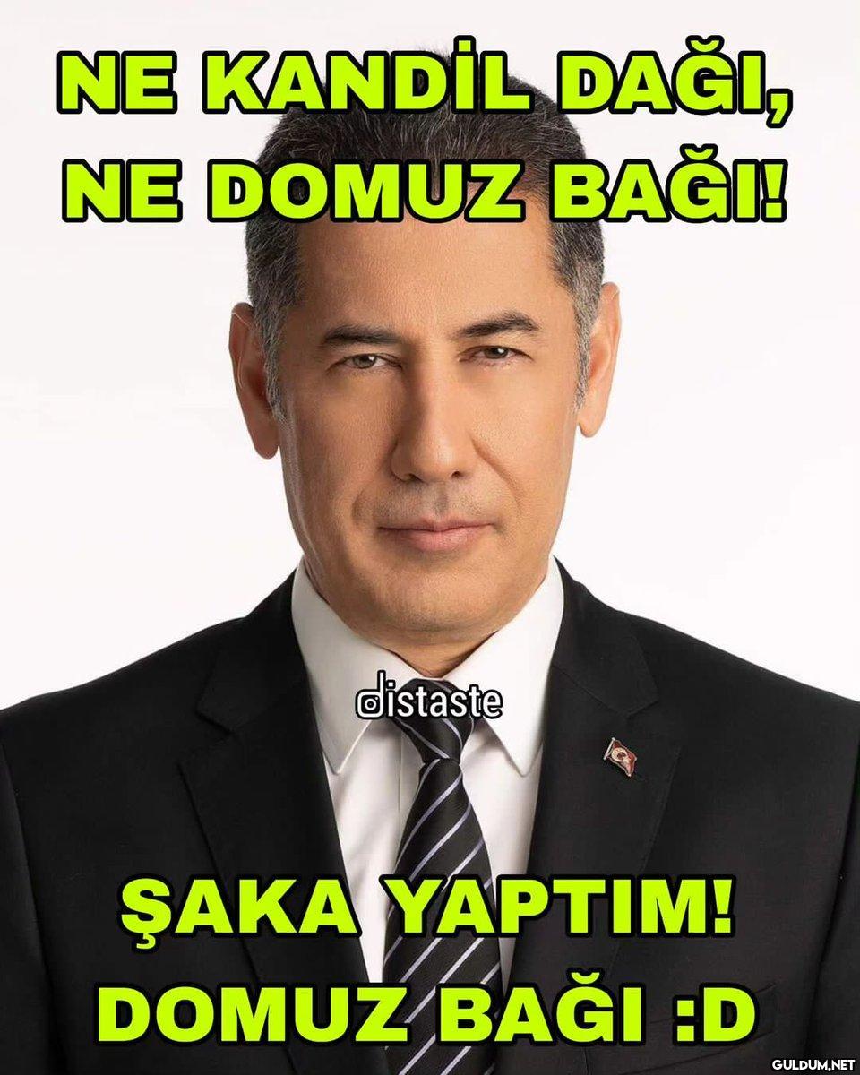 NE KANDİL DAĞI, NE DOMUZ...