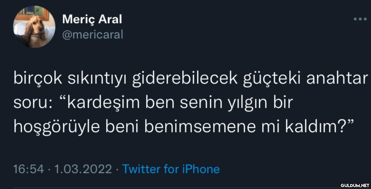 mast Meriç Aral @mericaral...