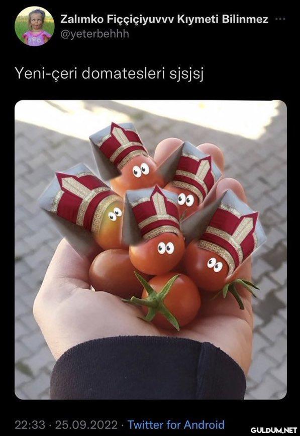 Zalımko Fiççiçiyuvvv...