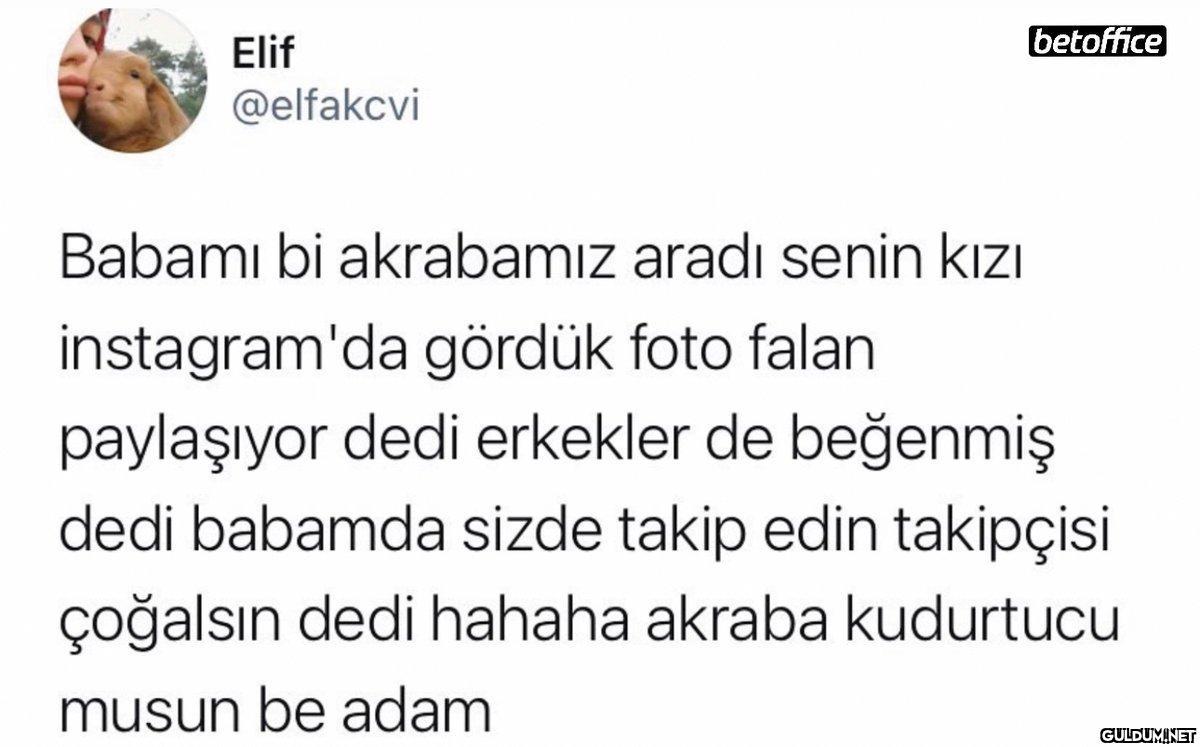 Elif @elfakcvi betoffice...