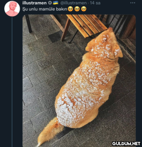 illustramen Şu unlu mamüle...
