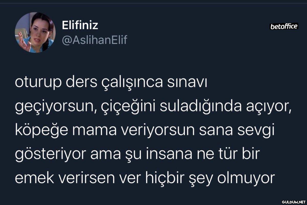 https://t.co/VHCnEUon5H  ...