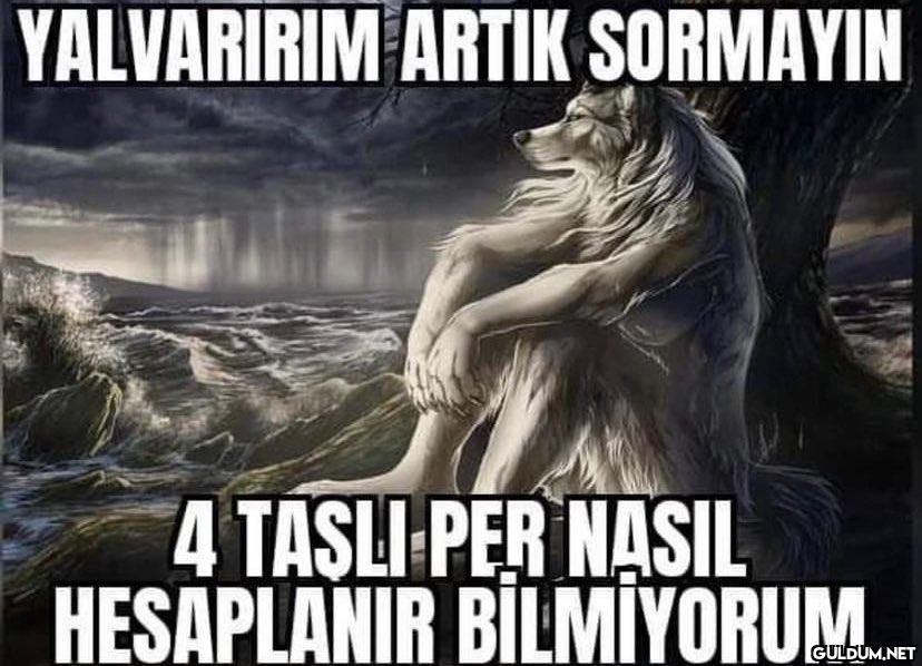YALVARIRIM ARTIK SORMAYIN...