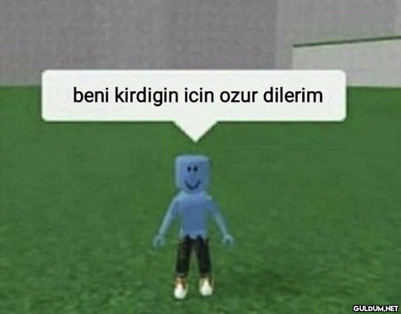 beni kirdigin icin ozur...